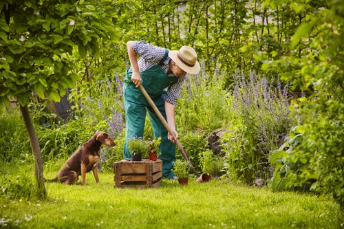 Tree surgeons team demonstrating ethical workplace compliance