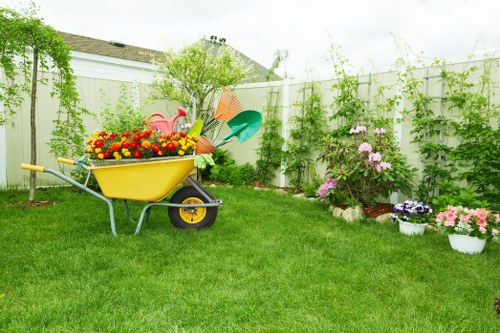 Professional pruning work to improve light and clearance in a Barnes residential garden