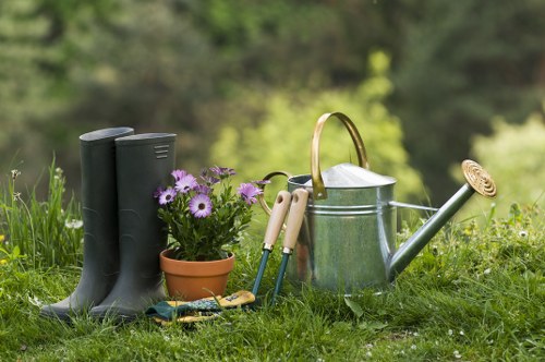 Tree surgeons Barnes website cookie policy introduction