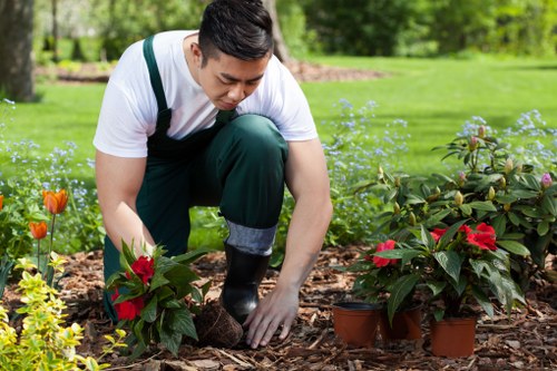 Trusted payment options with SSL and PCI compliance for Tree Surgeons Barnes