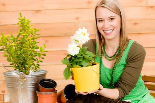 Screen-reader friendly website content for a tree surgery service in Barnes